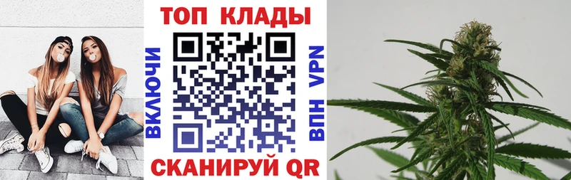 A PVP Канаш