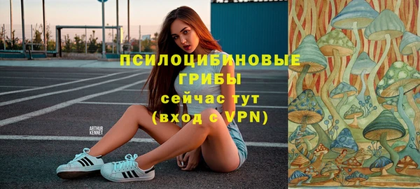 не бодяженный Зеленодольск